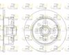 6217-00-MODEL.BMP