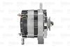 ALTERNATOR_433448_03.JPG