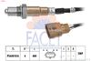 10.8558-FA.JPG
