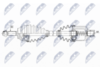 NPW-RE-156_9-WM.PNG