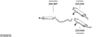 SYS29216.JPG
