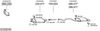 SYS28746.JPG