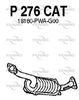 P276CAT.JPG