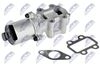 EGR-TY-007_2-WM.JPG