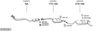 SYS03361.JPG
