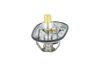 termostat SCANIA 725482