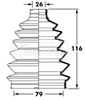 BCB6008_291978.JPG