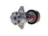 Натягувач ременя клинового зубча BOGAP C1317100 (8483900090)