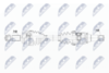 NPW-PE-031_9-WM.PNG