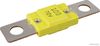 50296701.JPG