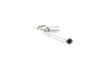 17240_3004936.JPG