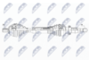 NPW-VV-051_9-WM.PNG