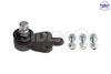 3885.JPG