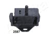 GOM-2587_1.JPG