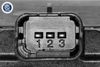V22-81-0006_03.JPG