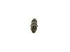 Bosch Nozzle and Holder Assembly 0432117002