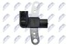 ECP-RE-005_3-WM.JPG