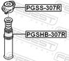 PGSS-307R_1.JPG