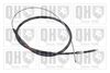 QH_BC4123.JPG