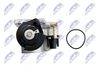 etb-vw-019_4-wm.JPG