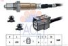 10.8640-fa.JPG