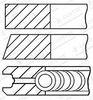 комплект сегменти