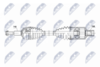 NPW-CH-172_9-WM.PNG