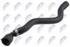 cpp-vw-051_1-wm.JPG