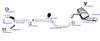 OP-EXSVG283_20260529081722.JPG