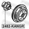 2482-KANGR_1.JPG