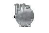 366203561_BACK_TD_1.JPG