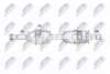 NPW-MS-096_9-WM.PNG