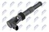 ECZ-FT-014_2-WM.JPG
