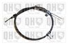 QH_BC3984.JPG