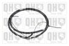 QH_BC3854.JPG