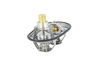 termostat SCANIA 725482
