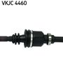 VKJC 4460_3.JPG