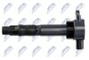 ECZ-MS-016_3-WM.JPG