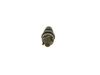 Bosch Nozzle and Holder Assembly 0432217255