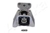 GOM-4069_1.JPG