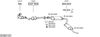 SYS01131.JPG