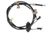 C73005ABE_#1.JPG