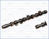 93035200.JPG