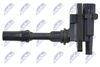 ECZ-MZ-028_3-WM.JPG