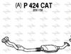 P424CAT.JPG