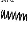 VKDL 81040.JPG