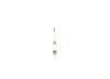 Diesel Glow Plug 0250503003