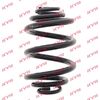 Kayaba Suspension Spring RJ6192