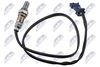 ESL-BM-026_1-WM.JPG