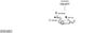 SYS13401.JPG